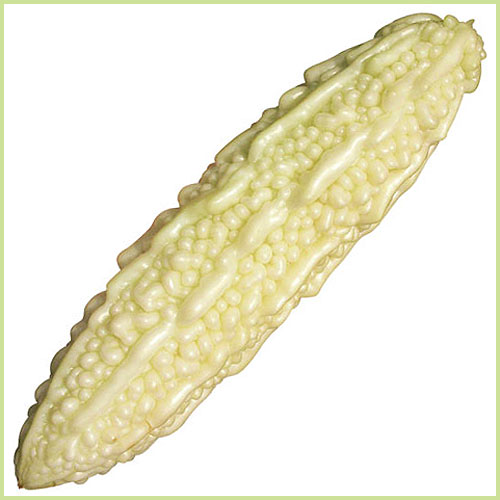 ゴーヤー（苦瓜・ニガウリ・レイシ）の苗など家庭菜園野菜の販売店