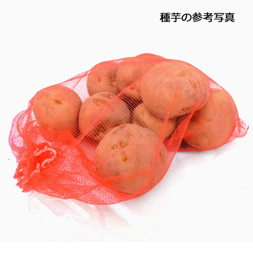 家庭菜園用のジャガイモ（じゃがいも）の種芋を販売
