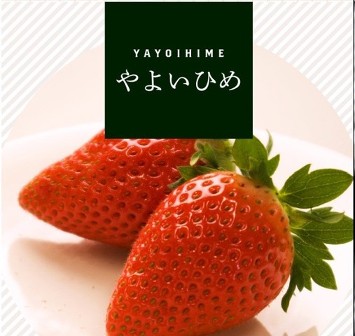 イチゴ　やよいひめ