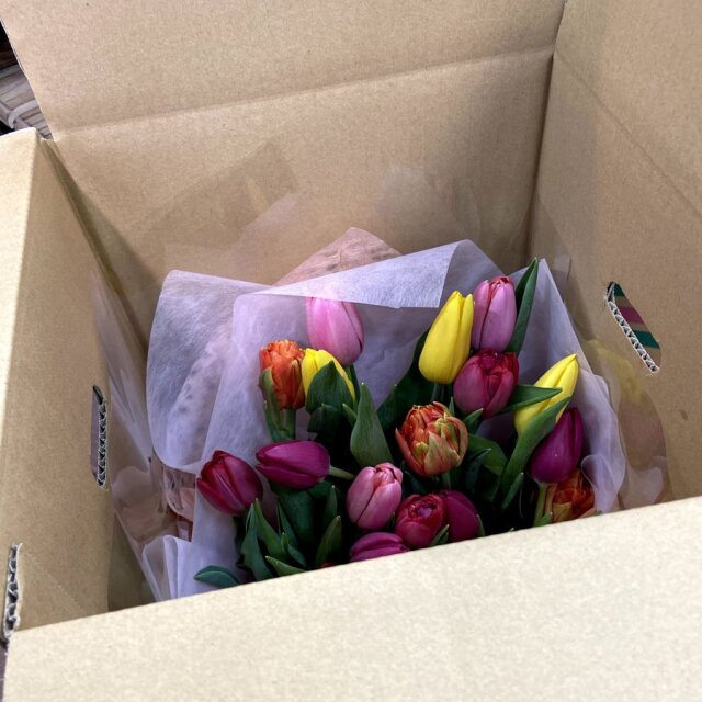 フラワーギフトなら【花育通販】生花・切花 「チューリップの花束