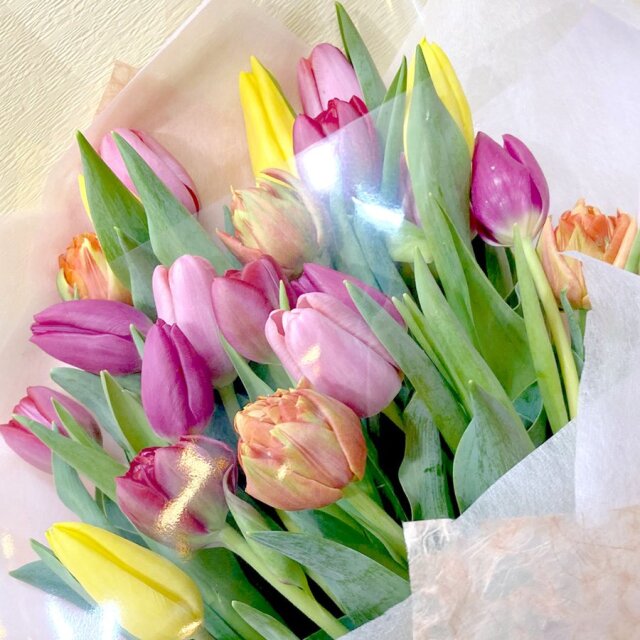 フラワーギフトなら【花育通販】生花・切花 「チューリップの花束
