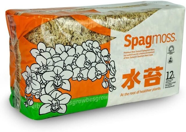 水苔（ミズゴケ）150g ニュージーランド産