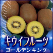 キウイフルーツ苗木を販売