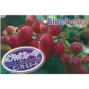 ブルーベリーの苗木販売店【花育通販】果樹苗の専門店