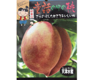 桃（モモ）苗木　天津水密（てんしんすいみつもも）