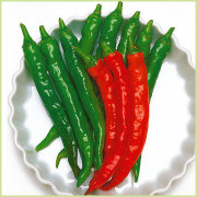 ピーマン・パプリカ・ししとう・唐辛子（トウガラシ）など家庭菜園用の野菜苗の販売店