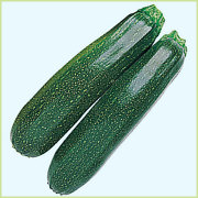 家庭菜園（園芸）のズッキーニ（野菜）苗の販売店