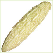 ゴーヤー（苦瓜・ニガウリ・レイシ）の苗など家庭菜園野菜の販売店