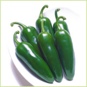 ピーマン・パプリカ・ししとう・唐辛子（トウガラシ）など家庭菜園用の野菜苗の販売店