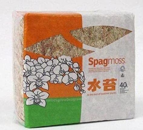 水苔（ミズゴケ）500g ニュージーランド産