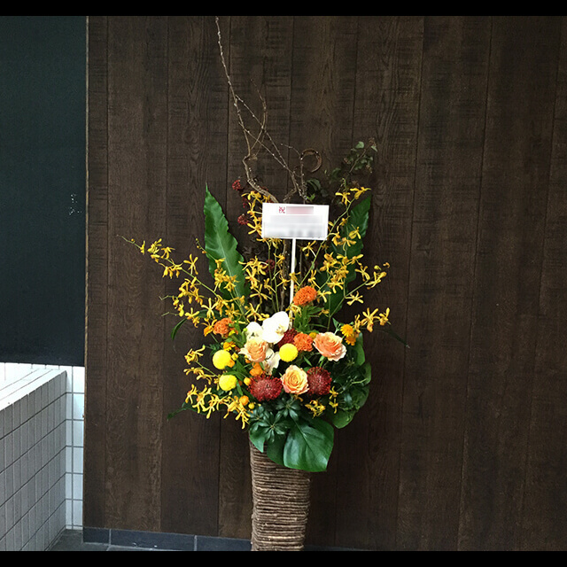 【配達回収無料】籠スタンド花 | バラ・ピンクッション・胡蝶蘭・ケイトウ 他