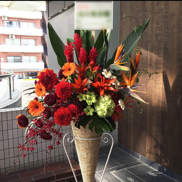 【配達回収無料】南国系コーンスタンド花 | ダリア・ジンジャー・ガーベラ・グズマニア・ストレチア・アジサイ・プルメリア 他