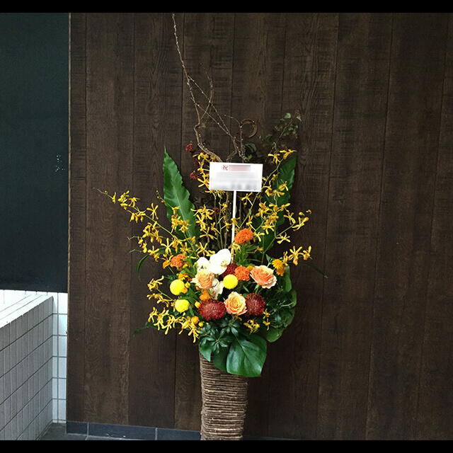 【配達回収無料】籠スタンド花 | バラ・ピンクッション・胡蝶蘭・ケイトウ 他