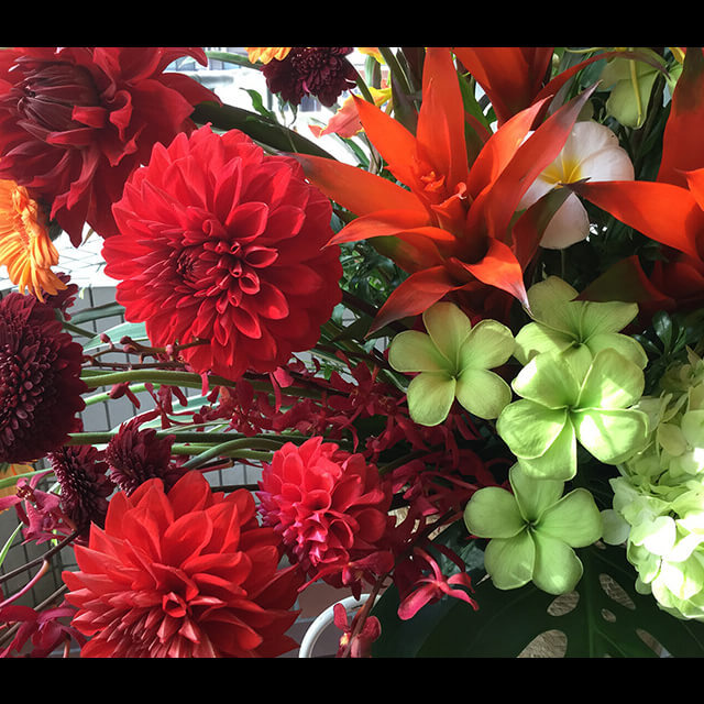 【配達回収無料】南国系コーンスタンド花 | ダリア・ジンジャー・ガーベラ・グズマニア・ストレチア・アジサイ・プルメリア 他