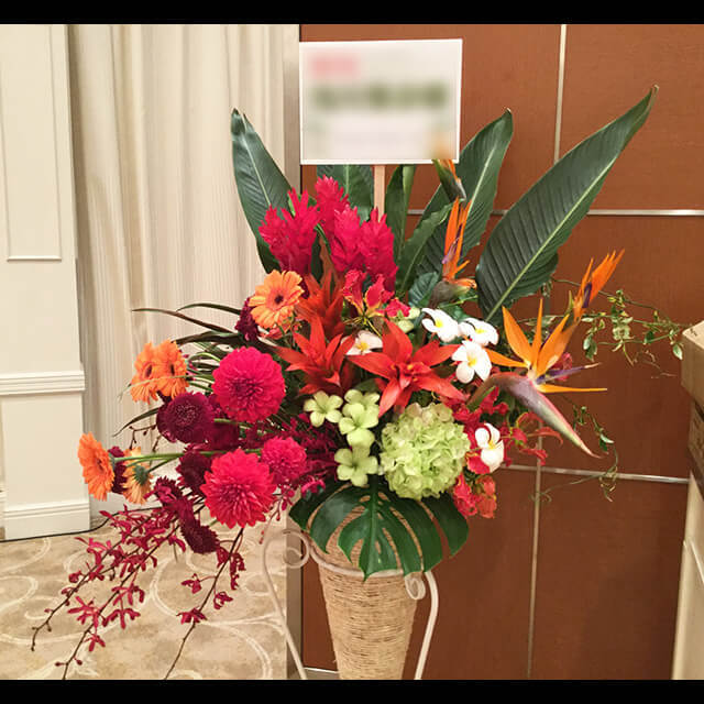 【配達回収無料】南国系コーンスタンド花 | ダリア・ジンジャー・ガーベラ・グズマニア・ストレチア・アジサイ・プルメリア 他