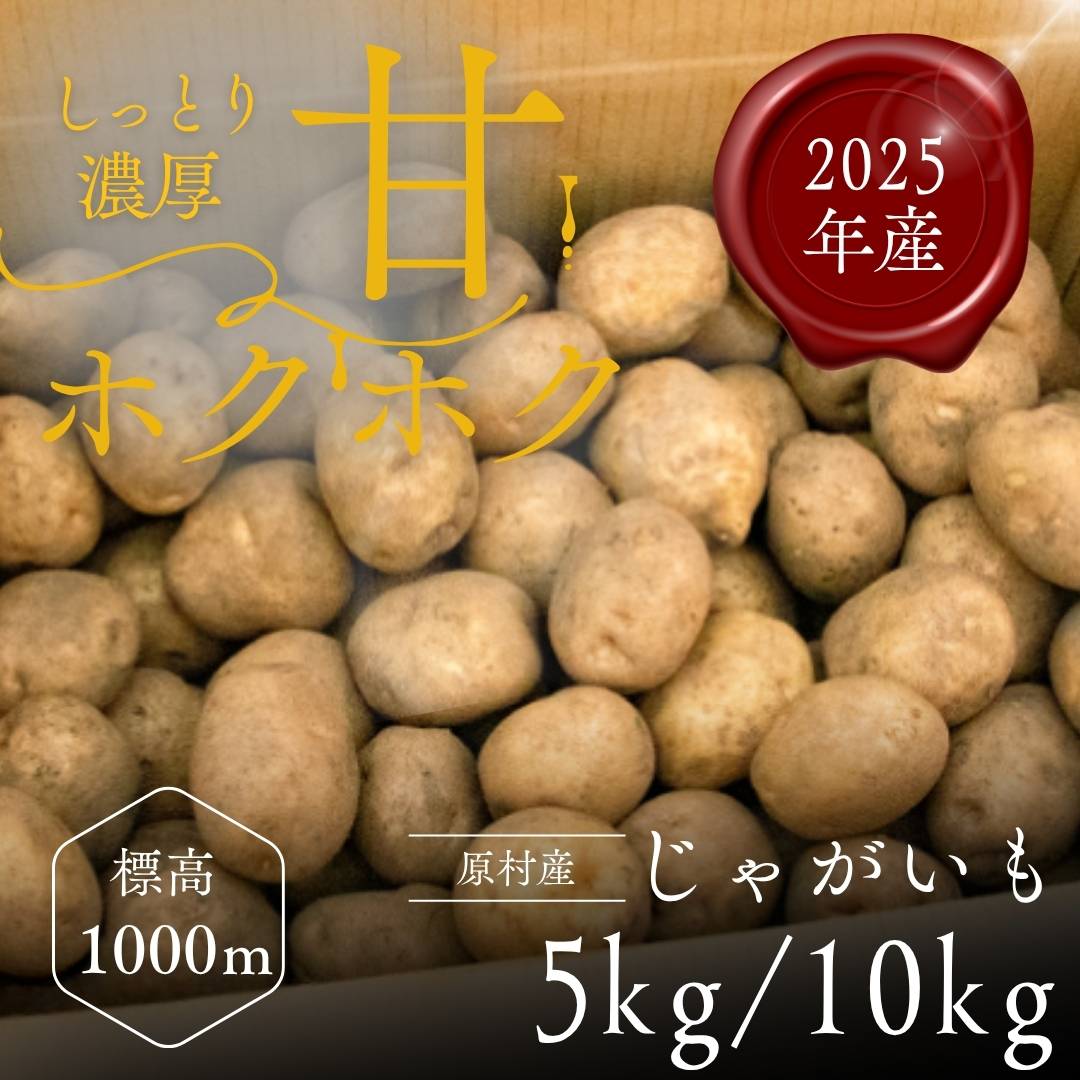 冷蔵】富士見町特産 赤いルバーブ 1kg