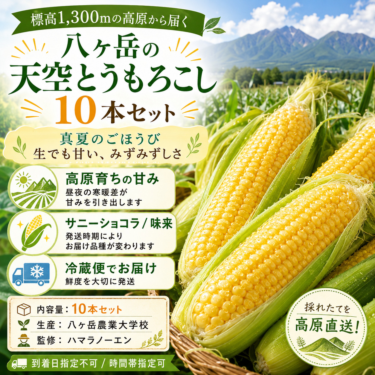 八ヶ岳農業大学校 真夏のごほうび 高原の生とうもろこし2026 10本セット