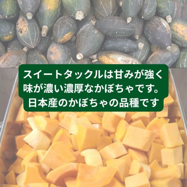 かぼちゃペースト