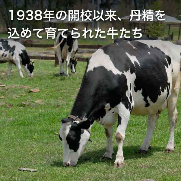 八ヶ岳中央農業実践大学校