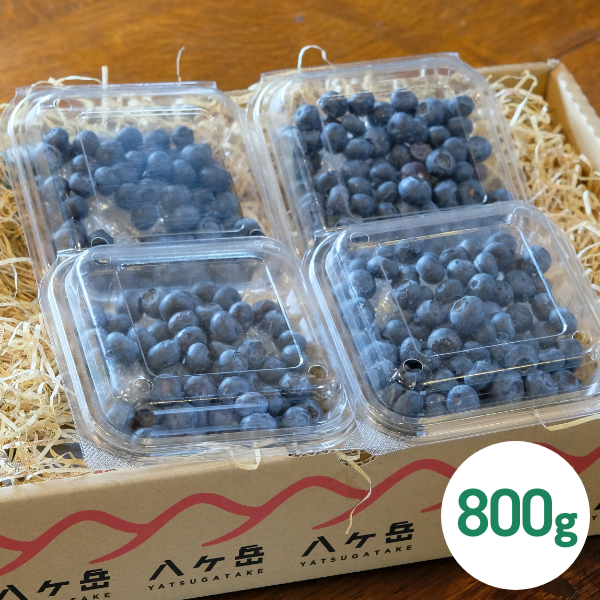 公式通販サイト】国産 朝摘み 完熟 生 ブルーベリー 800g |Berry Farm