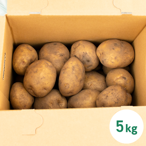 ハチカッテオリジナル