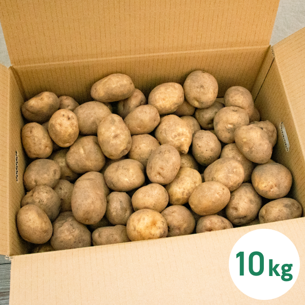 ハチカッテオリジナル