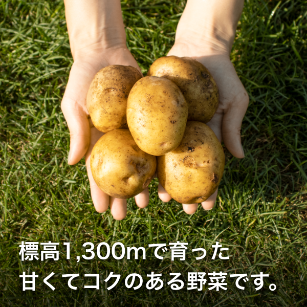 ハチカッテオリジナル