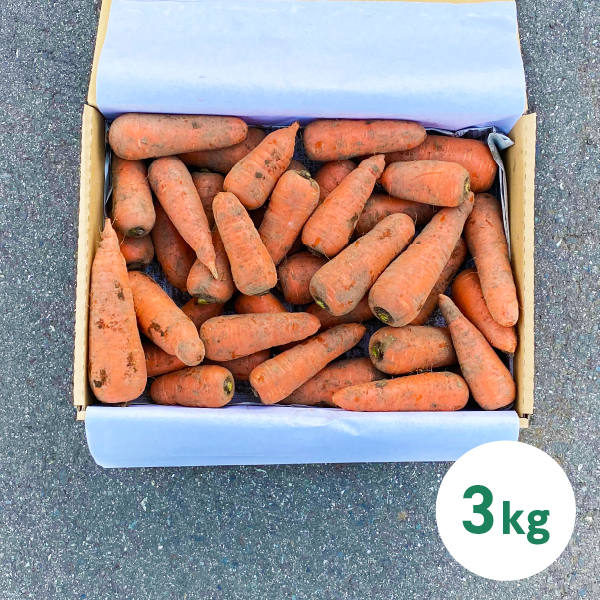 ひとみ五寸 にんじん 3kg 「むかわの無農薬やさい」山梨県北杜市武川産