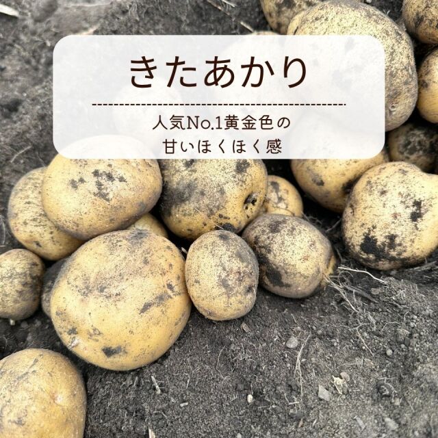 じゃがいも