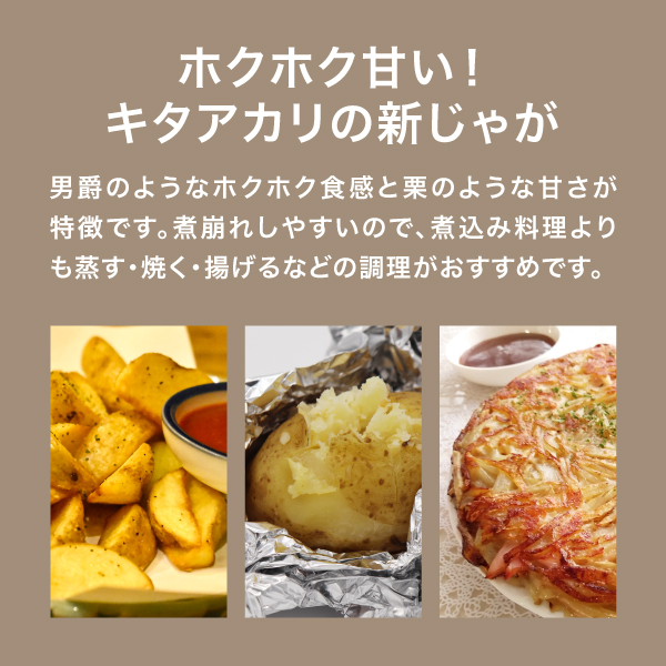 八ケ岳中央農業実践大学校