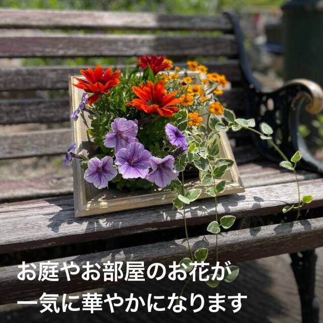 Firebloom Flourish SR 2枚セット wetfoambricksstandard1.jpg