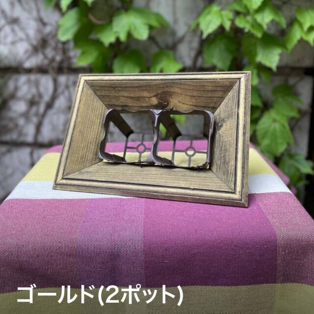 バラ額縁セット 選べる7色 フラワーフレーム 10.5センチ 2/3/4ポット用 原村