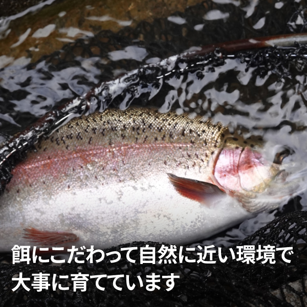 八ヶ岳山麓サーモン