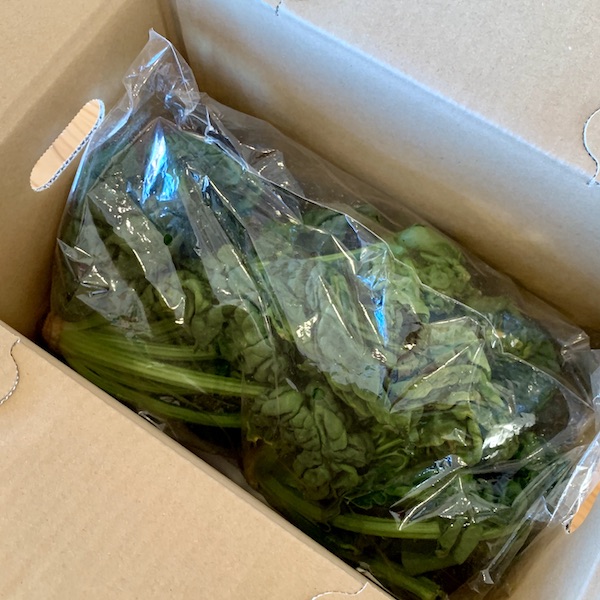 八ヶ岳中央農業実践大学校