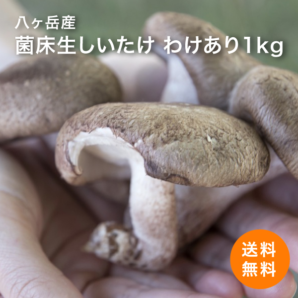 ふくろうSUWA