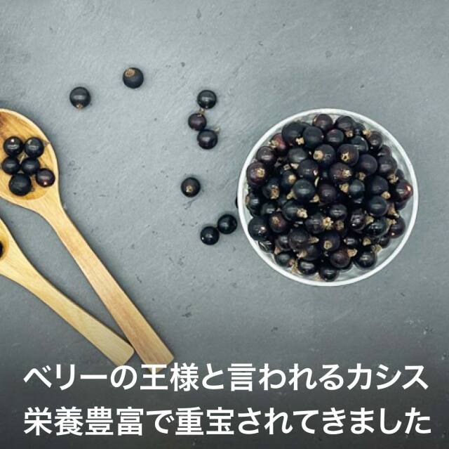 弘前産冷凍カシス20キロ 農薬不使用冷凍カシス果実（青森県産）通販