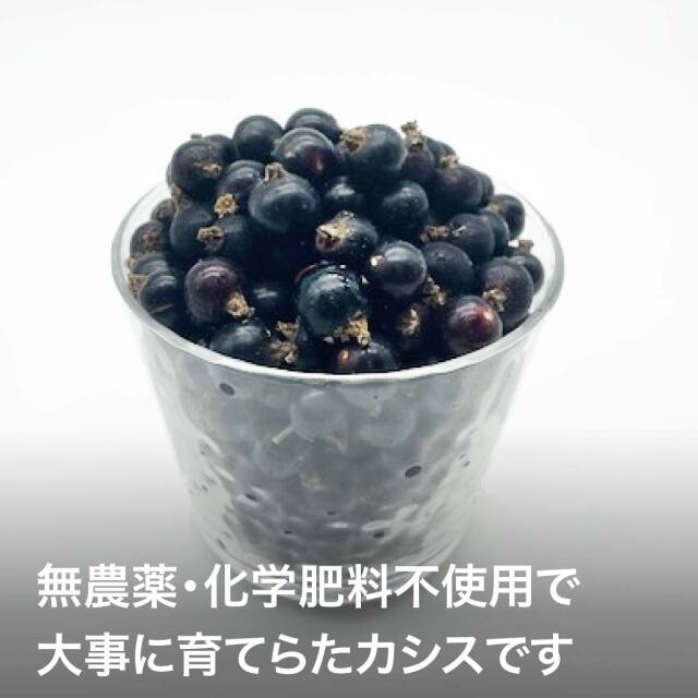 フルーツの韮崎から 冷凍 オーガニックカシス SISSAC / シザック