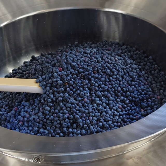 富士見町産 冷凍ブルーベリー 農薬不使用 2025 500g