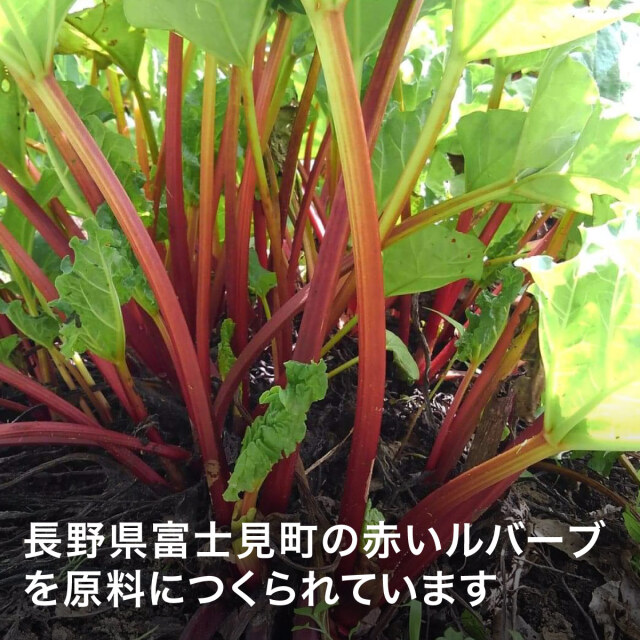 ピンクルバーブドレッシング