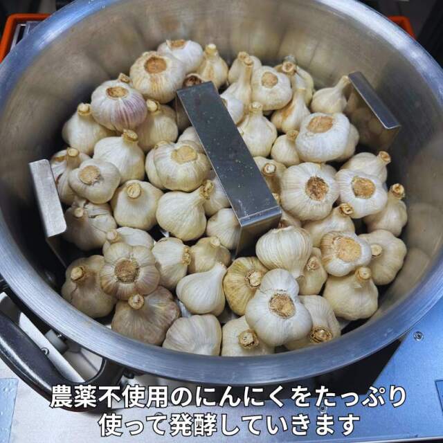 黒にんにくペースト