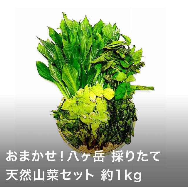 山菜セット