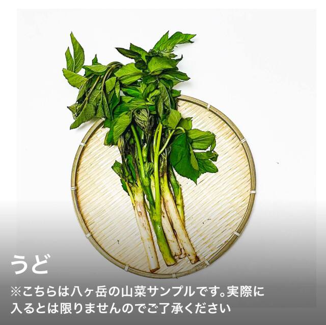 山菜セット