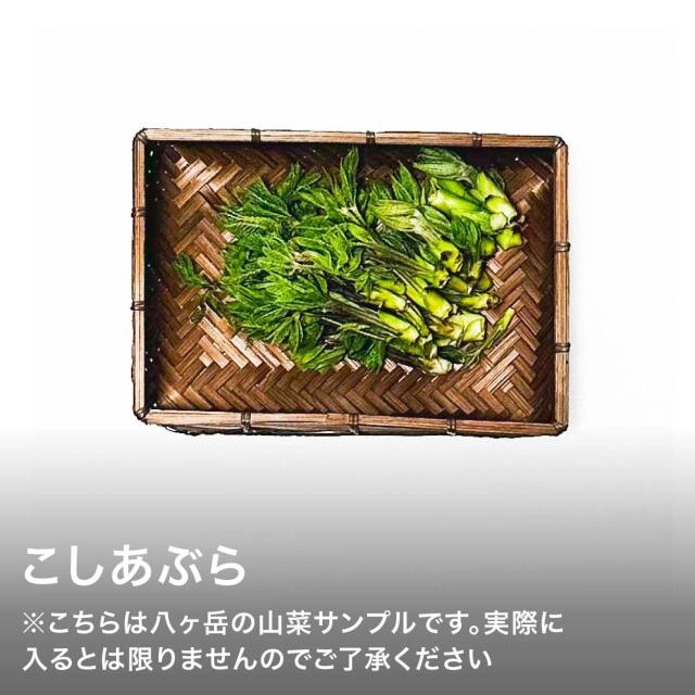 山菜セット