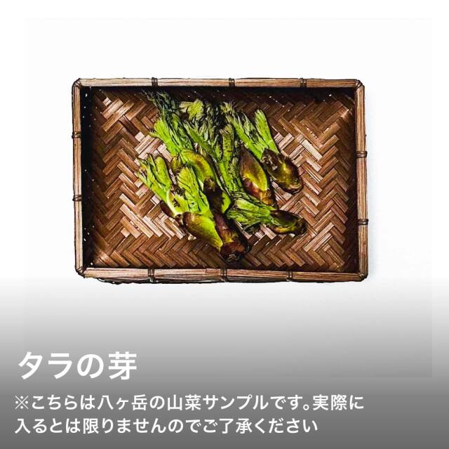 山菜セット