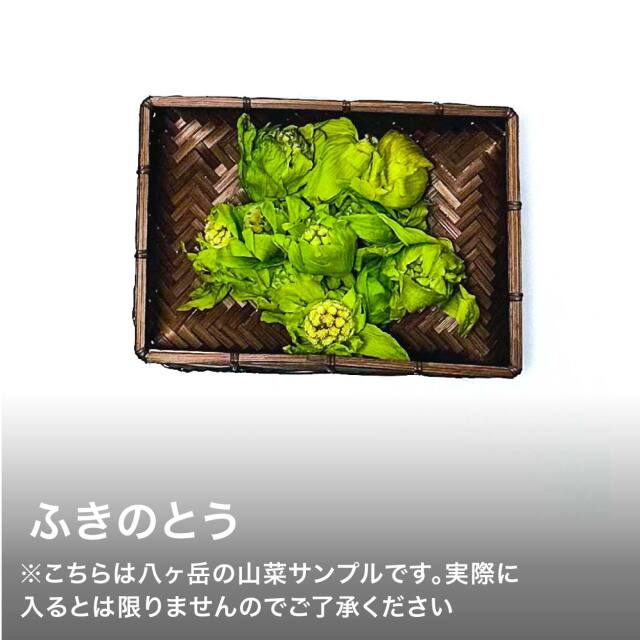 山菜セット