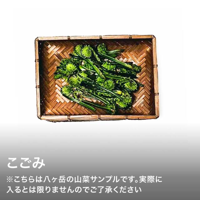 山菜セット
