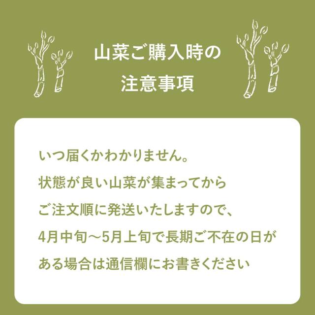 山菜セット