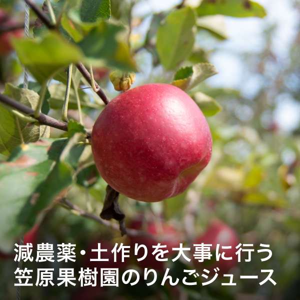 笠原果樹園　りんごジュース