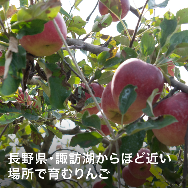 笠原果樹園　りんごジュース