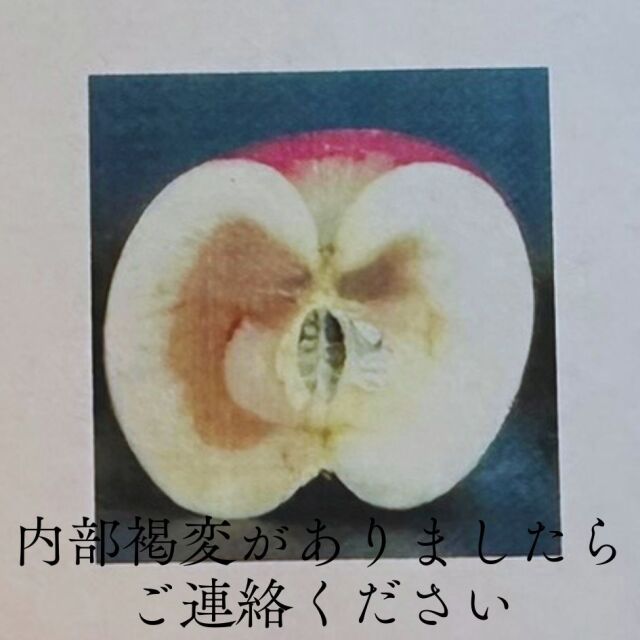 採れたての旨さ】諏訪湖りんご スマートフレッシュ サンふじ 2025 笠原